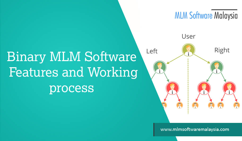 binary-mlm-software-features-and-working-process