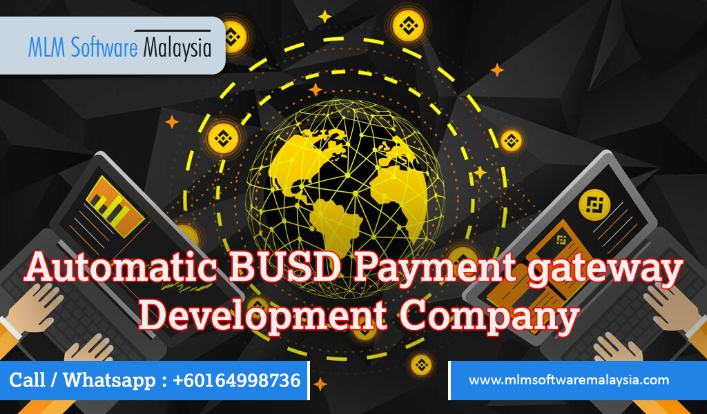 Automatic-BUSD-payment-gateway-development-mlm-soft-malaysia